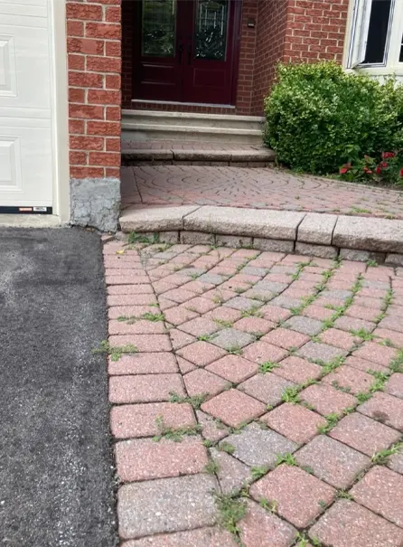 Stittsville Landscaping Services