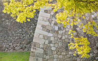 How Retaining Walls Are Built on Slopes: What Homeowners Should Know​