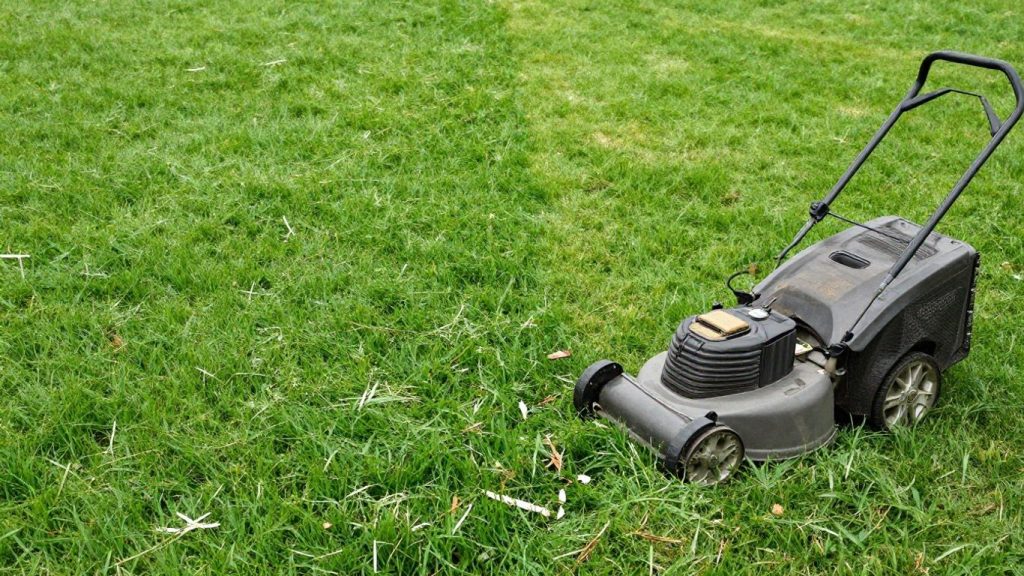 Lawn mulching versus bagging comparison