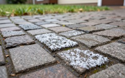 How to Maintain Interlocking Paving Stones in Canadian Weather