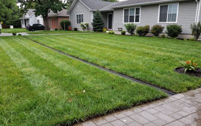 Why Is Water Pooling in My Backyard? Causes & Solutions for Ottawa Homes